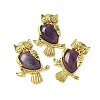 Natural Amethyst Pendants KK-F888-02G-23-1