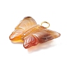 Natural Mixed Gemstone & Agate Pendans PALLOY-JF01672-4