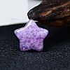 Natural Lepidolite Star Display Decorations PW-WG23045-16-1