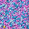 Baking Paint Glass Seed Beads SEED-P006-03A-19-3