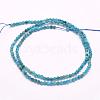 Natural Apatite Beads Strands G-F509-17-2mm-2