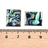 Natural Paua Shell Rectangle Cabochons SSHEL-T017-11-3