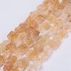 Raw Rough Natural Citrine Bead Strands G-F403-09-1