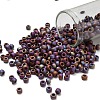 TOHO 6/0 Round Beads SEED-XTR06-0406F-1