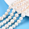 Natural Cultured Freshwater Pearl Beads Strands PEAR-S020-F11-01-1