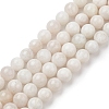 Natural Grey Moonstone Beads Strands G-I279-C01-10mm-A-1