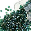 TOHO Round Seed Beads X-SEED-TR08-0179-1