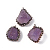 Natural Amethyst Pendants G-F739-09R-02-1