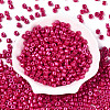 Baking Paint Pearlized Glass Seed Beads SEED-T008-03O-2