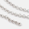 Iron Rolo Chains CH-S066-P-LF-1