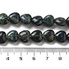 Natural Kambaba Jasper Beads Strands G-R190-10mm-33-5