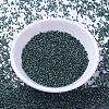 MIYUKI Delica Beads SEED-J020-DB1006-2