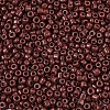 Glass Seed Beads SEED-A010-2mm-56-3