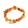 Natural Amber Chip Beads Stretch Bracelet for Kid BJEW-JB06819-01-1