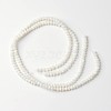 Dyed Natural Freshwater Shell Rondelle Bead Strands BSHE-O016-19D-2