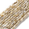 Natural Freshwater Shell Beads Strands X-SSHEL-B002-17-1