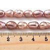 Natural Cultured Freshwater Pearl Beads Strands PEAR-P062-29E-5