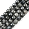 Natural Hawk's Eye Beads Strands G-S333-10mm-027-2