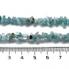 Natural Flower Amazonite Chip Beaded Necklaces for Men Women NJEW-G159-01L-5