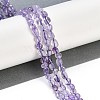 Natural Amethyst Beads Strands G-P497-01B-21-2