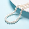 Natural Cultured Freshwater Pearl Beads Strands PEAR-R063-16-2