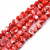 Natural Trochid Shell/Trochus Shell Beads Strands SSHEL-N032-48-A05-1