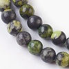 Natural Serpentine Beads Strands G-G767-05-6mm-3