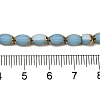 Electroplate Glass Beads Strands X-EGLA-P061-02B-02-4
