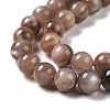 Natural Multi-Moonstone Beads Strands G-I247-14A-01-4