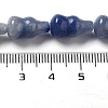 Natural Blue Aventurine Beads Strands G-P528-G03-01-5