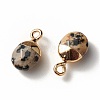 Electroplate Natural Dalmatian Jasper Charms G-S344-09C-3