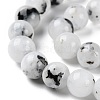 Natural Rainbow Moonstone Beads Strands G-Q1001-A05-02-3
