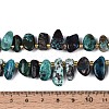 Natural Chrysocolla Beads Strands G-Z091-A46-5