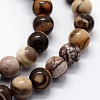 Natural Zebra Jasper Beads Strands G-I199-10-6mm-3