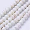 Natural Magnesite Bead Strands G-P286-10-6mm-1