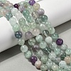 Natural Green Fluorite Beads Strands G-G184-A02-01-2