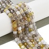 Natural Botswana Agate Beads Strands G-H042-A07-02-2