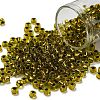 TOHO 6/0 Round Beads X-SEED-TR06-0747-1