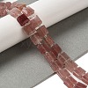 Natural Strawberry Quartz Beads Strands G-L596-A20-01-2