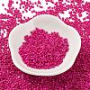 Baking Paint Glass Seed Beads SEED-S042-05B-69-2