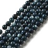 Natural Freshwater Shell Beads Strands SHEL-H003-03C-1