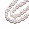 Natural Cultured Freshwater Pearl Beads Strands PEAR-N012-06T-4