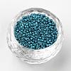 Baking Paint Cylinder Seed Beads SEED-R041-11-3