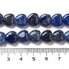 Natural Sodalite Beads Strands G-R190-10mm-37-5