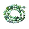 Natural Variscite Beads Strands G-F715-109A-2