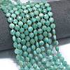 Natural Amazonite Beads Strands G-K389-B42-01-2