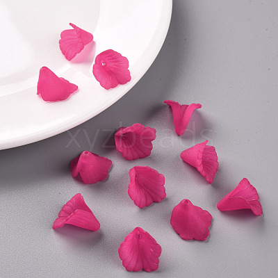 Transparent Acrylic Bead Caps PL551-C16-1