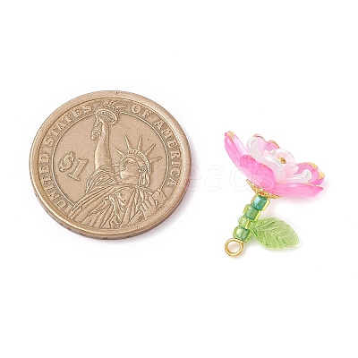 Transparent Acrylic Pendants PALLOY-MZ00822-01-1