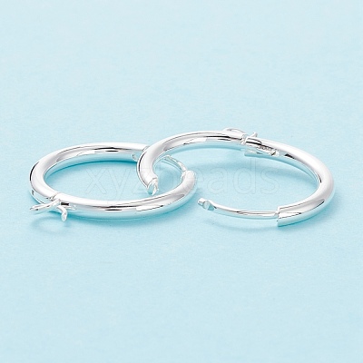 201 Stainless Steel Huggie Hoop Earring Findings STAS-P283-01S-S-1