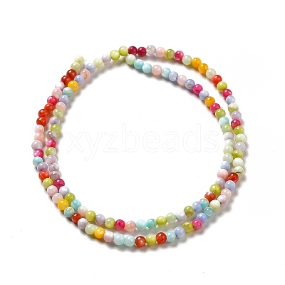 Dyed Natural Freshwater Shell Beads Strands SHEL-G014-05B-02-1